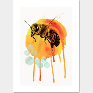 Honey Bee Watercolour Posters and Art